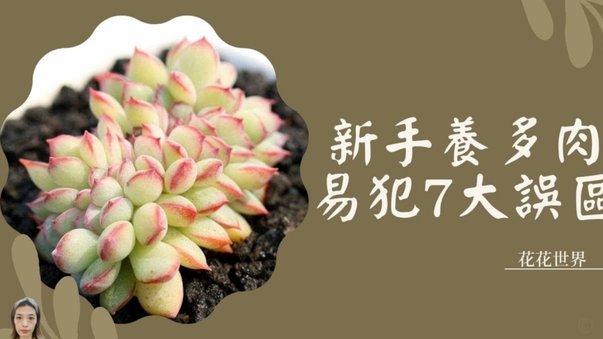 花呗不明账单背后隐藏的秘密