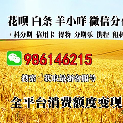 羊小咩消费额度变现