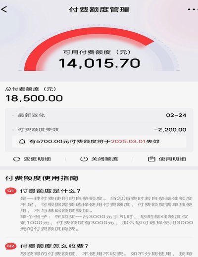 白条付费额度怎么套出来的