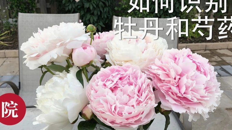 花呗秒套平台有哪些 现在在用