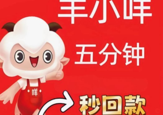 羊小咩如何查看消费额度