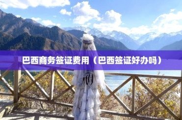 美政府取消多名巴西官员签证了吗