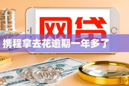 携程拿去花安全套现指南
