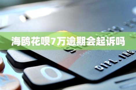 海鸥花呗平台近况：值得了解？