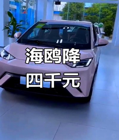 海鸥花呗平台 现在怎么样