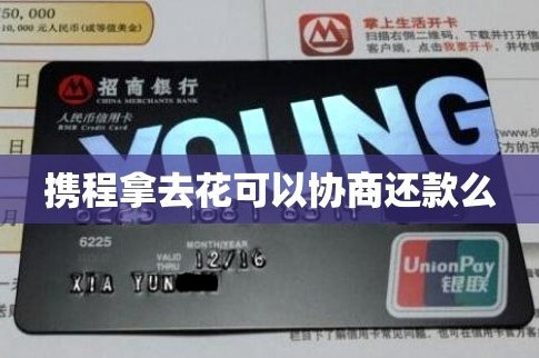 拿去花小额自助贷款服务