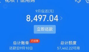 套现花呗平台怎么样 出额度的