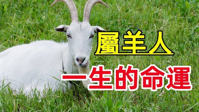 羊小咩消费额度提升策略揭秘