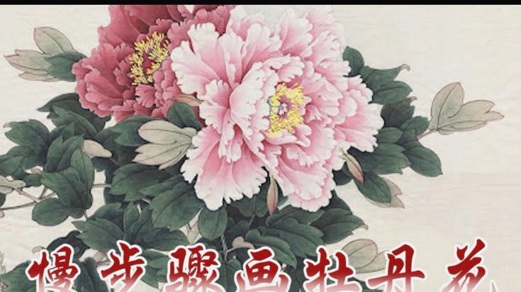 揭秘花呗支付的奥秘与影响
