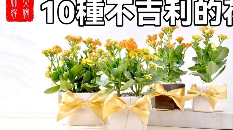 花呗支付平台有哪些