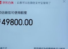 白条灵活用，省钱技巧全掌握