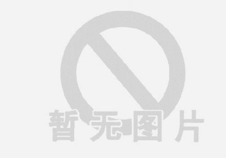 羊小咩哪里有额度