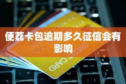 便荔卡包：看不见的支付密码