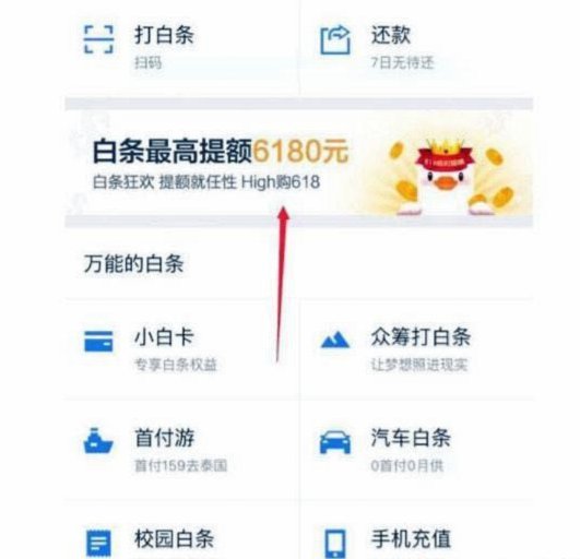 如何安全合理地管理白条额度