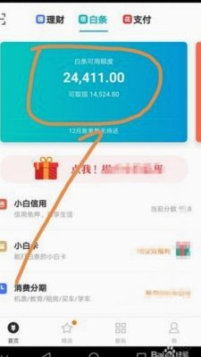 白条如何用钱？新手指南全了解