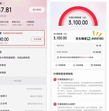 白条 套现金犯法吗