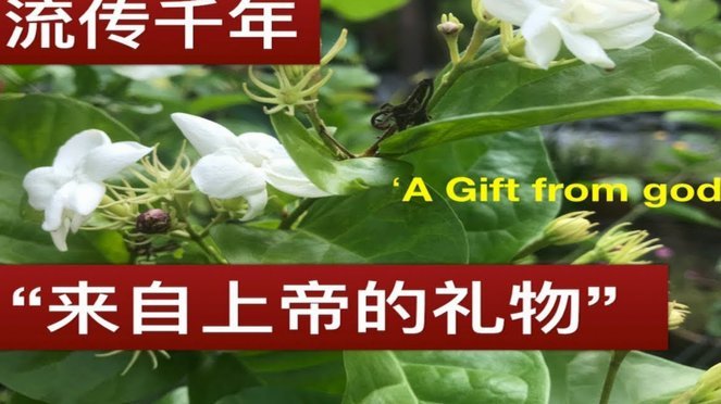 花呗的出现意味着信用新生态