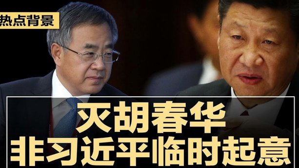 效率与个性化的设计解析