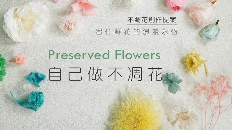 花呗的使用说明