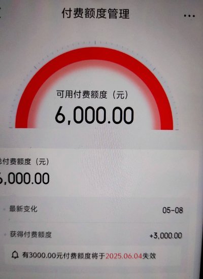 白条有额度怎么提现问商家团团厵