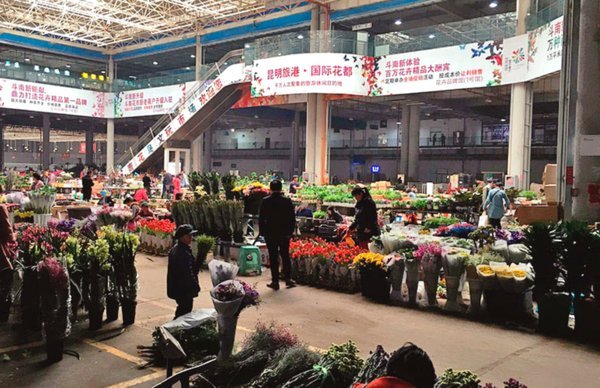 花呗套现平台的危害与反思