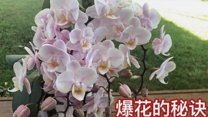 套现花呗平台