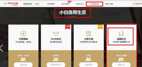 白条临时额度怎么提现
