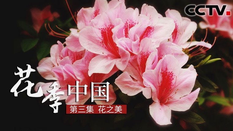 花呗平台正规吗 取消了吗