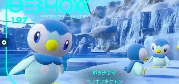 套花呗风险揭秘：你需要知道的“套贷”陷阱全了解