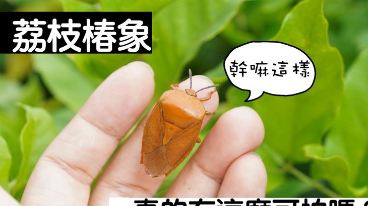 便荔卡套现手续费 怎么计算