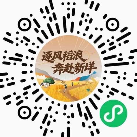便利卡包逾期：一年的教训