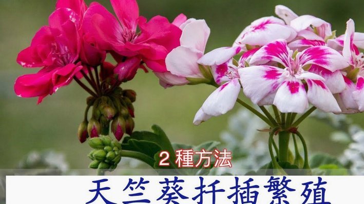 携程拿去花怎么提前还款全部结清