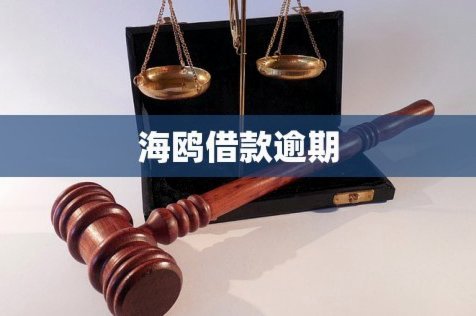 海鸥借款平台：科技赋能的金融创新实践