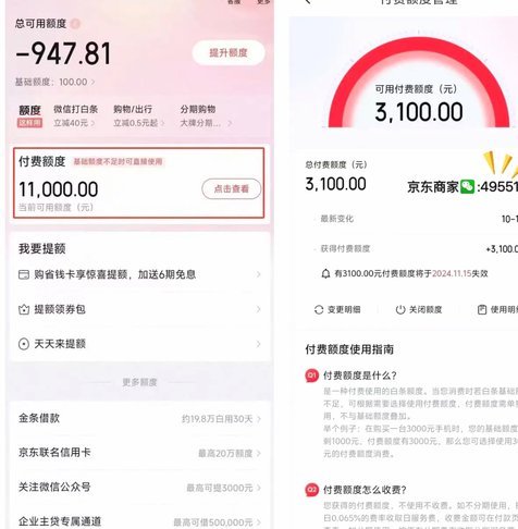 京东白条如何科学利用提升消费能力？