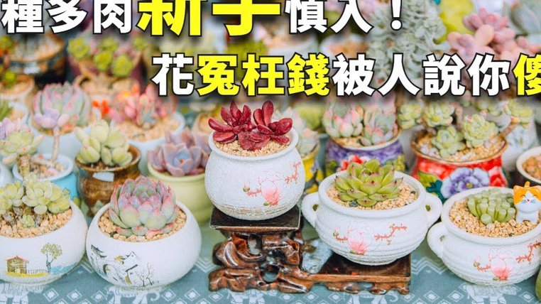 套花呗钱会怎么样