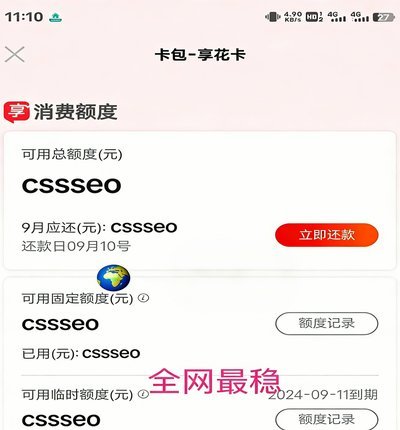 羊小咩：消费额度背后的年轻化策略