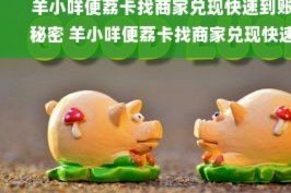 美团月付取现到账时间及客服电话解析