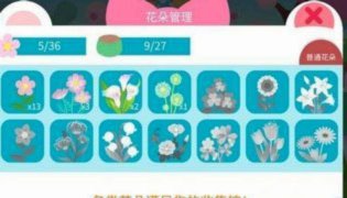 拿去花可以提现吗