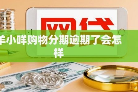 羊小咩还款宽限期？