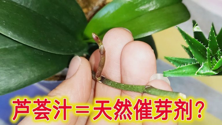 花呗套现背后的隐藏风险揭秘