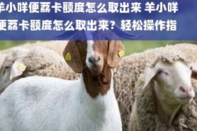 羊小咩的深层解构与提取
