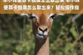 羊小咩怎么提取