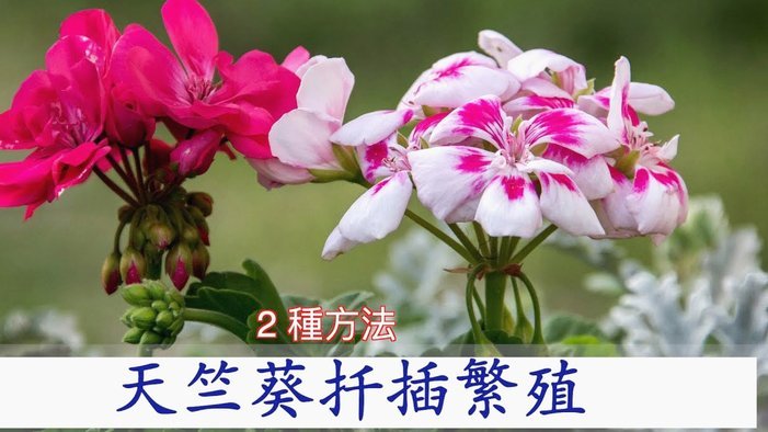消费贷的“无限套钱”魔咒？深挖花呗背后的现金流真相
