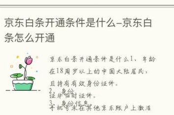 白条平台电话人工服务