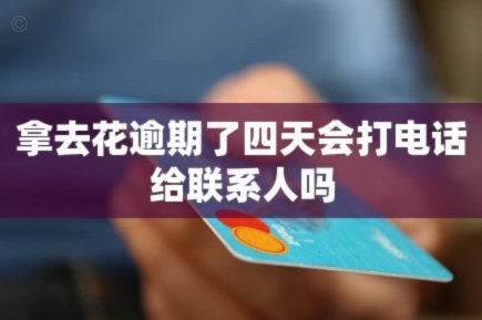 拿去花取现多久？高效还款方式全解析
