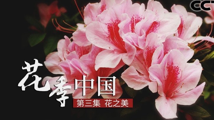 花呗转现平台 出账时间
