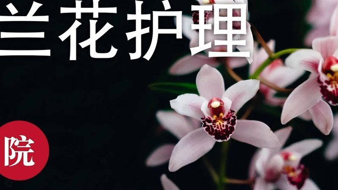 花呗套现软件揭秘