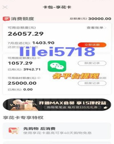 羊小咩购物额度如何安全变现