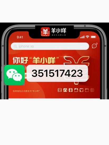 羊小咩发货中要多久