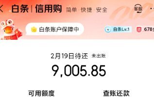 白条购物额度怎么设置才能满足需求又不超支